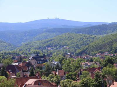 Holiday apartment Altes Logierhaus - Environment photo 33