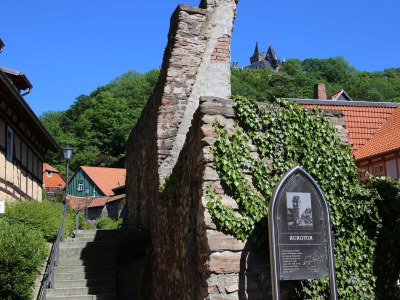 Holiday apartment Altes Logierhaus - Environment photo 37