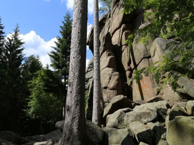 Holiday apartment Altes Logierhaus - Environment photo 40