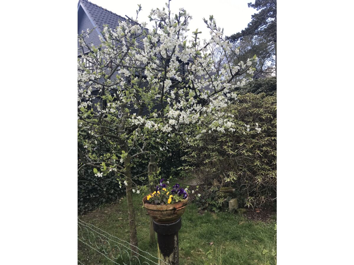 Holiday apartment De Sloep - Outdoor photo 2