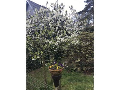 Holiday apartment De Sloep - Outdoor photo 2