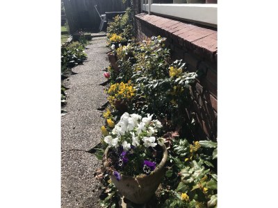 Holiday apartment De Sloep - Outdoor photo 4