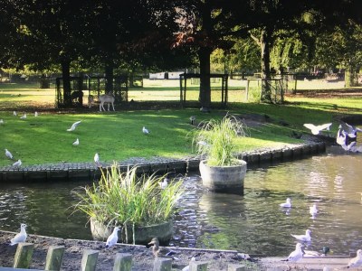 Holiday apartment De Sloep - Environment photo 20