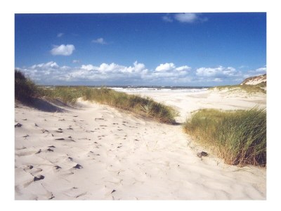 Holiday apartment De Sloep - Environment photo 29