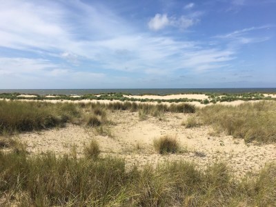 Holiday apartment De Sloep - Environment photo 31