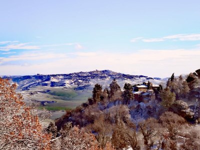 row house Little Cottage - Environment photo 22