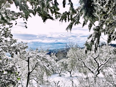 row house Little Cottage - Environment photo 23