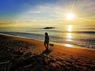 row house Little Cottage - Environment photo 25