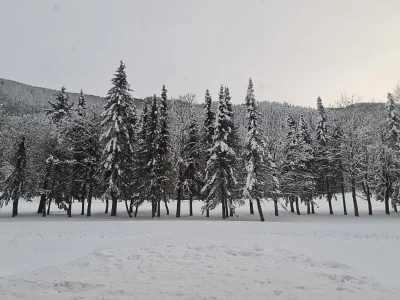 Holiday apartment Penthouse SkyView - Outdoor photo 12