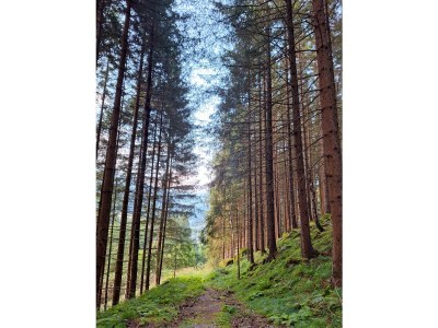 Holiday apartment Penthouse SkyView - Environment photo 30