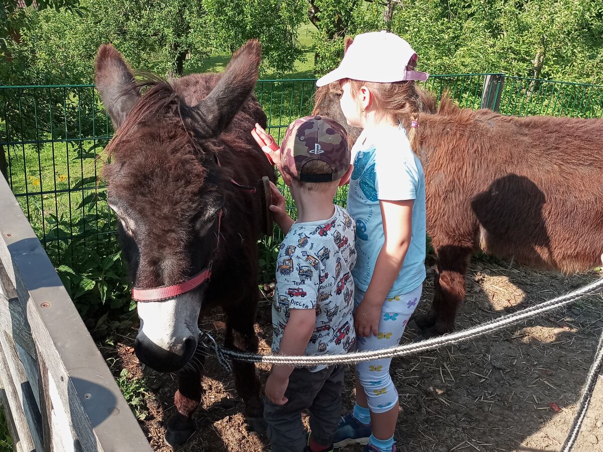 Holiday apartment Bauernhof Perhinig - Outdoor photo 5