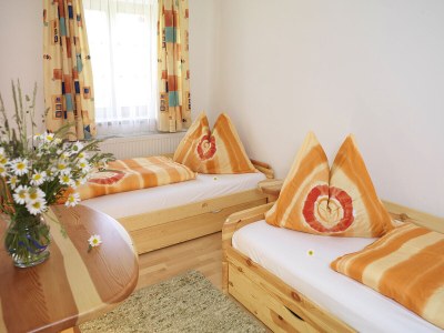 Holiday apartment Bauernhof Perhinig - Features photo 8