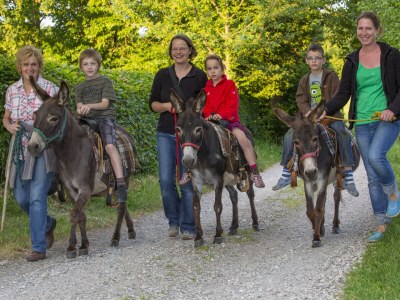 Holiday apartment Bauernhof Perhinig - Environment photo 12