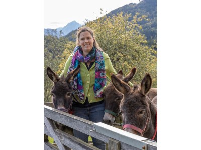 Holiday apartment Bauernhof Perhinig - Environment photo 13