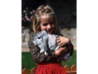 Holiday apartment Bauernhof Perhinig - Environment photo 14