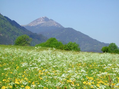 Holiday apartment Bauernhof Perhinig - Environment photo 15