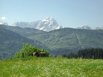 Holiday apartment Bauernhof Perhinig - Environment photo 16