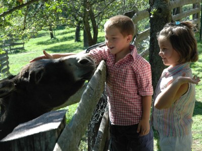 Holiday apartment Bauernhof Perhinig - Environment photo 20