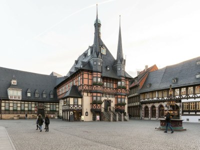 Bungalow Bungalow in Wernigerode - Environment photo 27