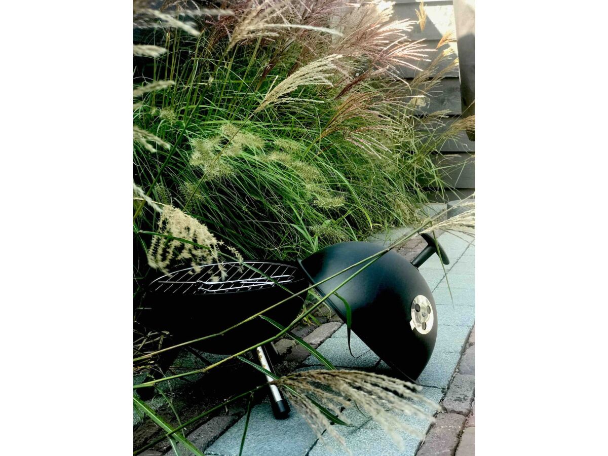 Holiday house Nehalennia - Outdoor photo 3