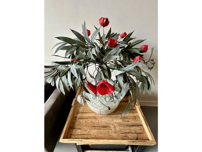 Holiday house Nehalennia - Features photo 10