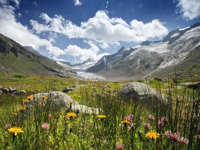 Holiday apartment in the Aparthotel Alpen Chalet - Environment photo 23