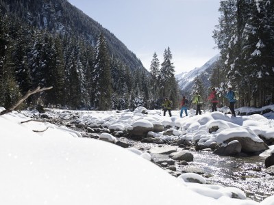Holiday apartment in the Aparthotel Alpen Chalet - Environment photo 25