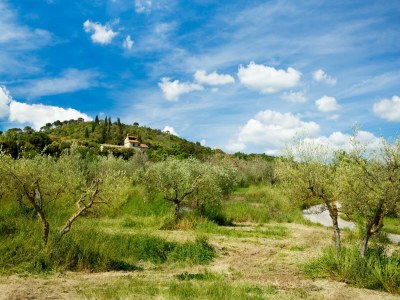 Holiday house Elegant 2-Bedroom Holiday Home in Tuscan. - Environment photo 37