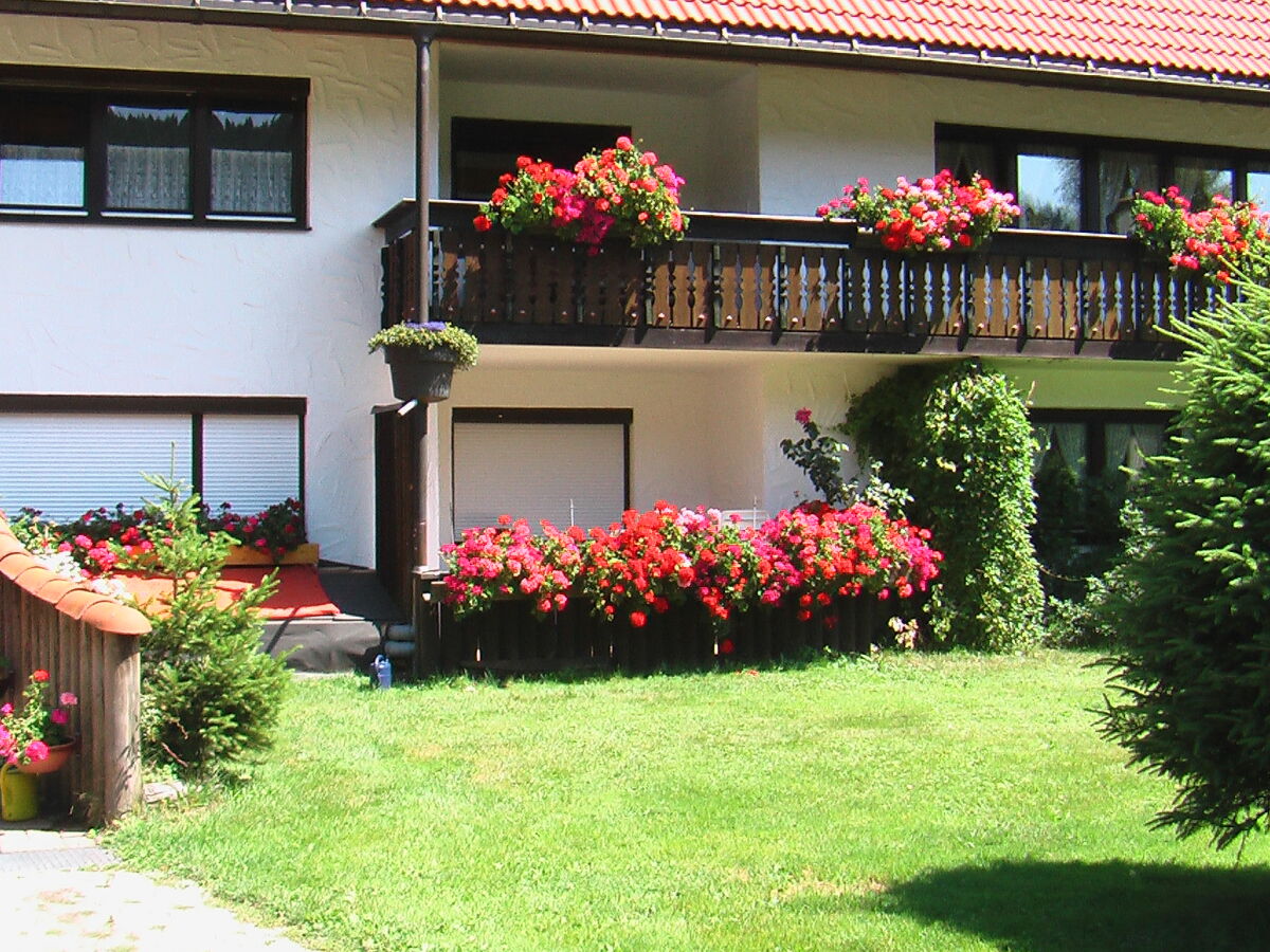 Holiday apartment Talmatten - Outdoor photo 3