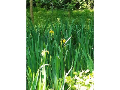 Holiday house Apollo - Outdoor photo 7