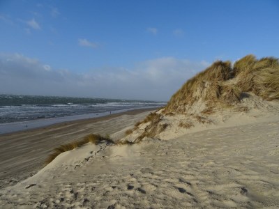 Holiday house Apollo - Environment photo 25