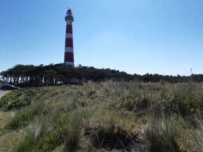 Holiday house Apollo - Environment photo 28