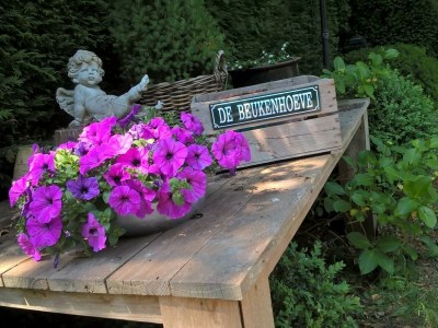 Holiday house T Uiltje - Environment photo 17