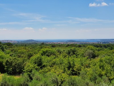 Villa Villa Lorraine - Environment photo 39