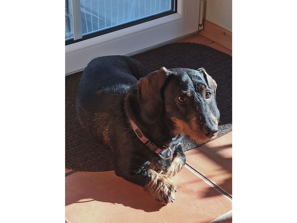 Holiday apartment No title - Outdoor photo 4