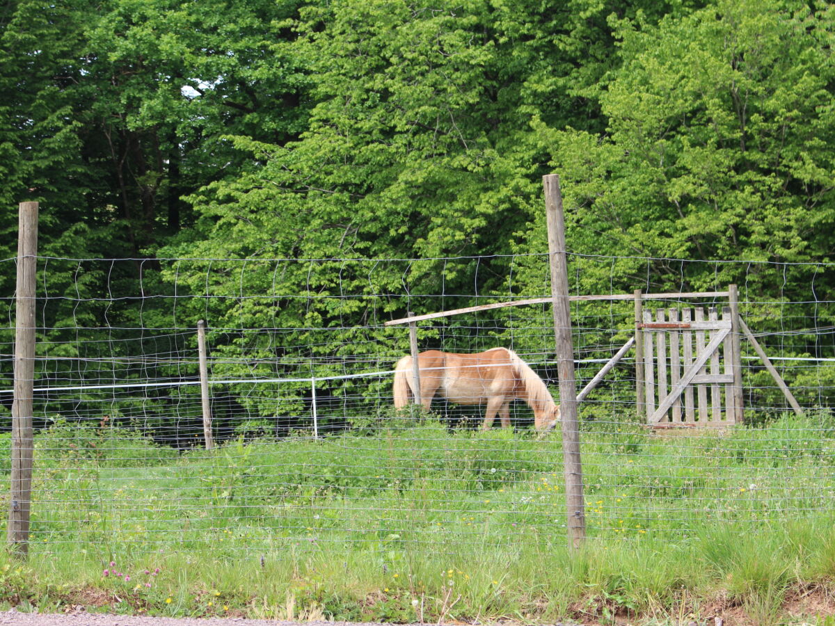 Holiday apartment No title - Outdoor photo 5