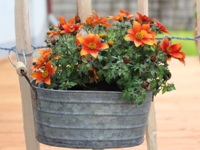 Holiday apartment No title - Outdoor photo 7