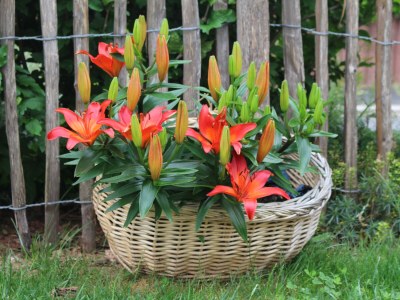 Holiday apartment No title - Outdoor photo 8