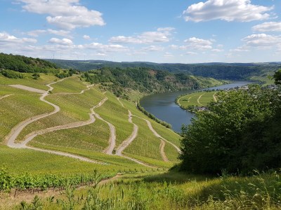 Holiday apartment No title - Environment photo 25