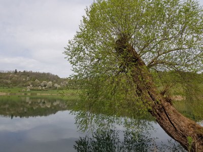 Holiday apartment No title - Environment photo 29