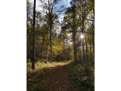 Holiday apartment No title - Environment photo 32