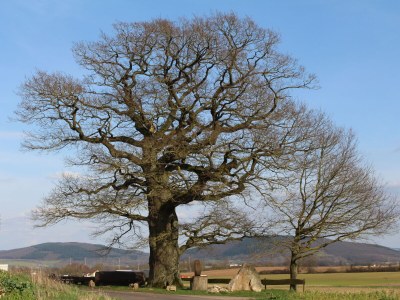 Holiday apartment No title - Environment photo 33