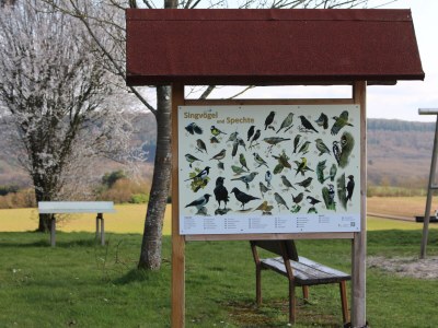 Holiday apartment No title - Environment photo 36