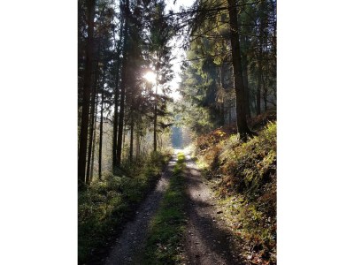 Holiday apartment No title - Environment photo 39