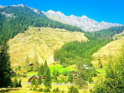 Holiday apartment Traumhaft - Outdoor photo 8