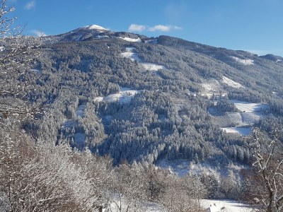 Holiday apartment Traumhaft - Outdoor photo 14