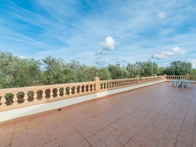 Finca Finca Calderitx - Outdoor photo 15