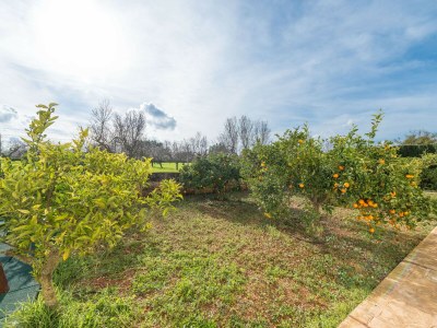 Finca Finca Calderitx - Outdoor photo 27