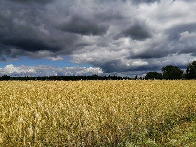 Holiday house Bayer Leuengarten - Environment photo 20