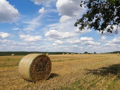 Holiday house Bayer Leuengarten - Environment photo 21